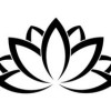 lotus graphic